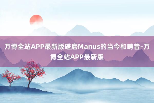 万博全站APP最新版磋磨Manus的当今和畴昔-万博全站APP最新版