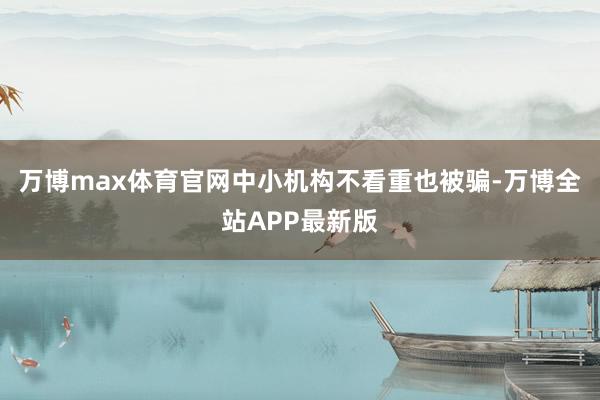 万博max体育官网中小机构不看重也被骗-万博全站APP最新版
