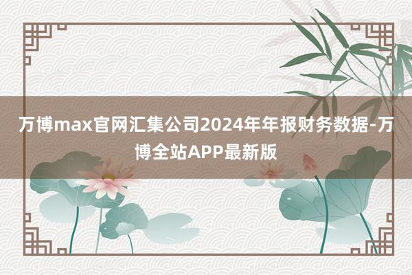万博max官网汇集公司2024年年报财务数据-万博全站APP最新版