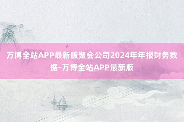 万博全站APP最新版聚会公司2024年年报财务数据-万博全站APP最新版