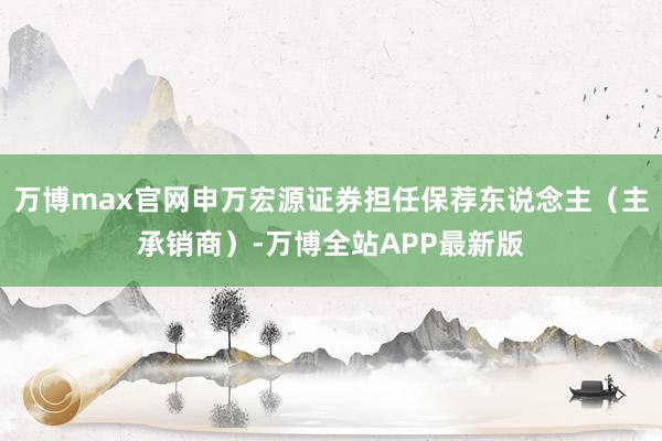 万博max官网申万宏源证券担任保荐东说念主（主承销商）-万博全站APP最新版
